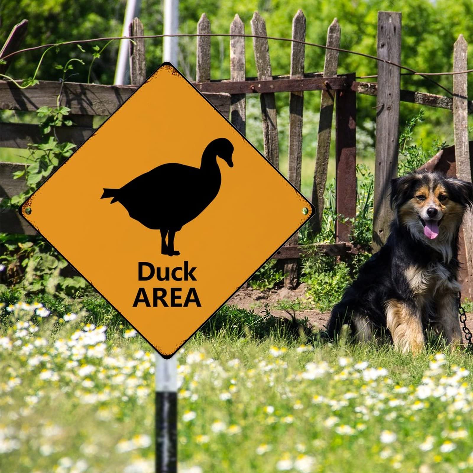 Targa in metallo con scritta in lingua inglese Warning Metal Sign