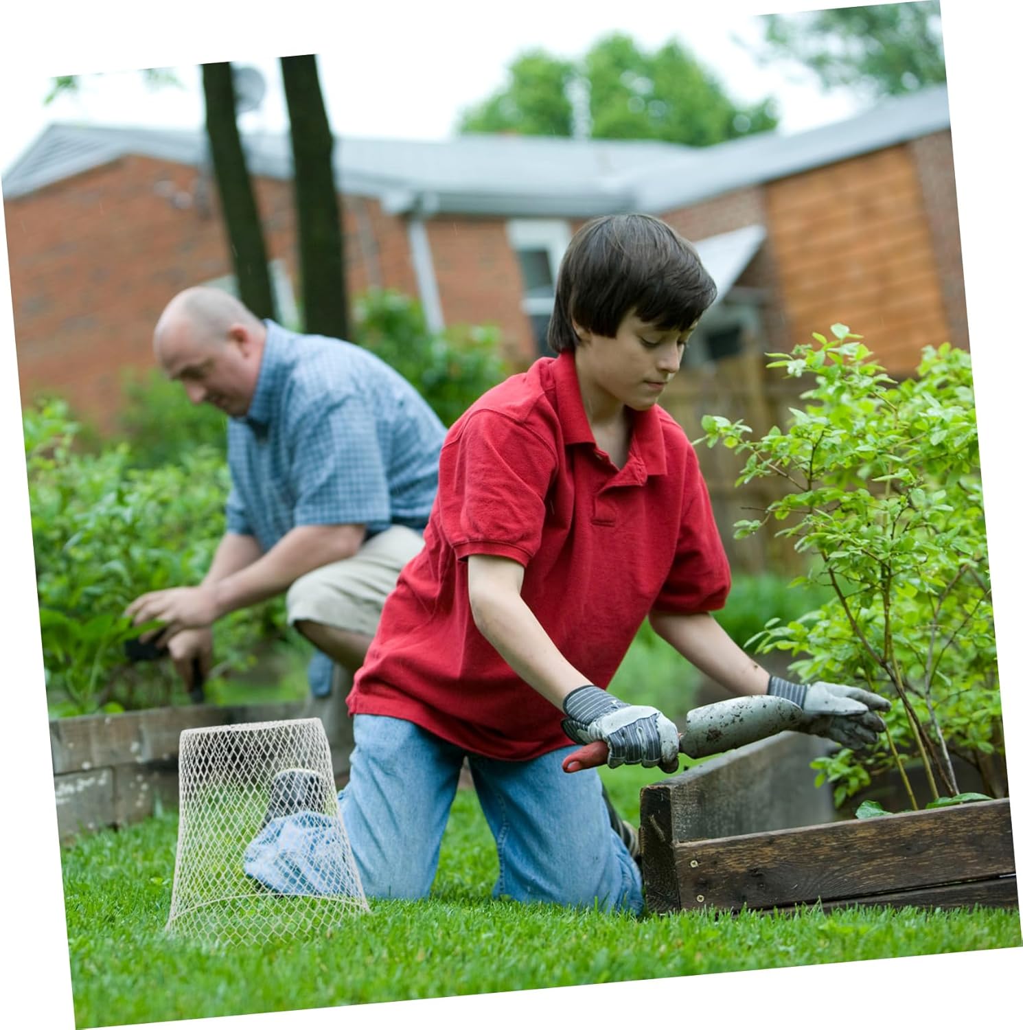 UPKOCH 1 Set Heavy Duty Metal Wire Plant Protector Cage Garden Cloche for Seedling and Vegetable All Weather Protection for Outdoor Use Small Gardens and Balconies