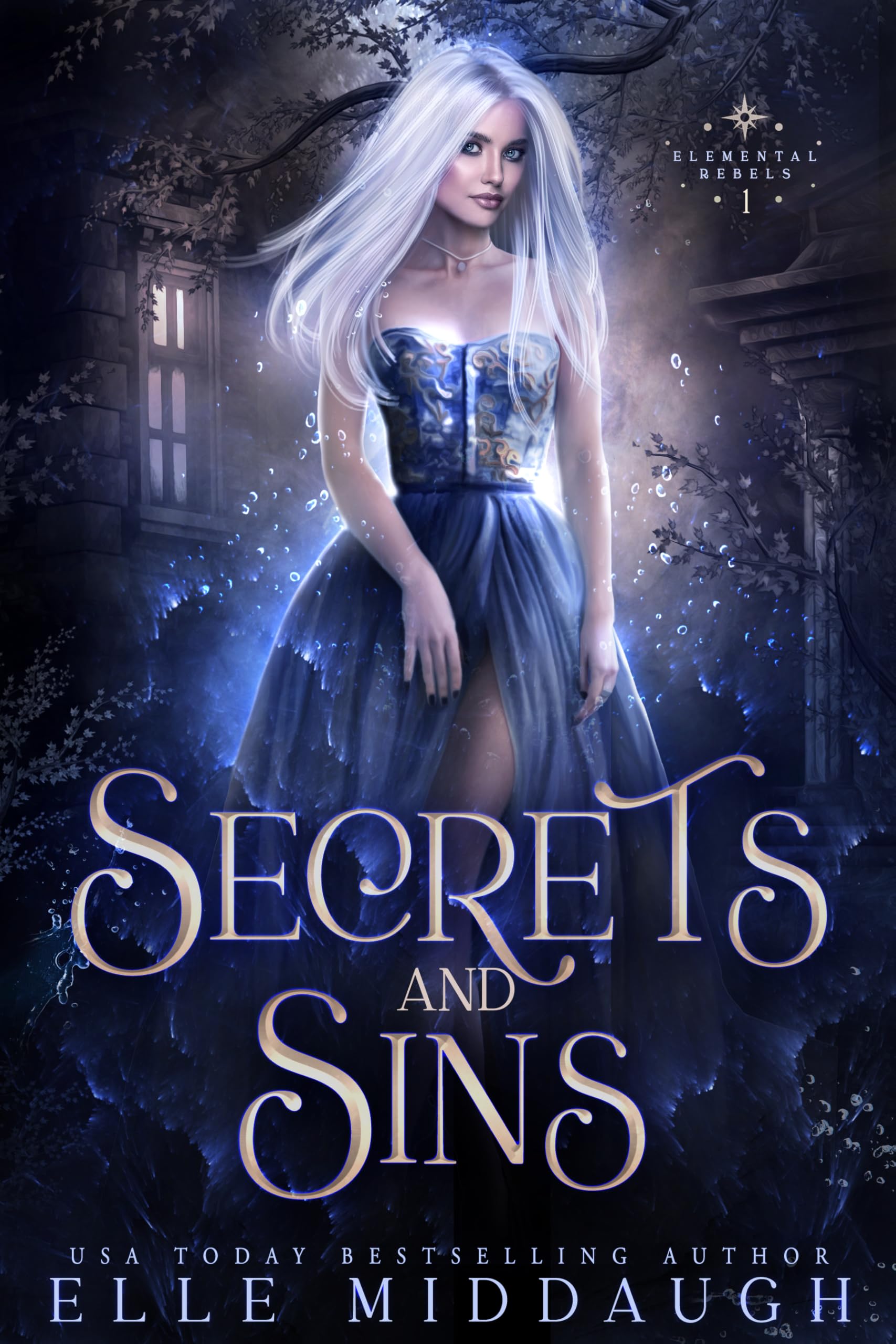 Cover of Secrets and Sins