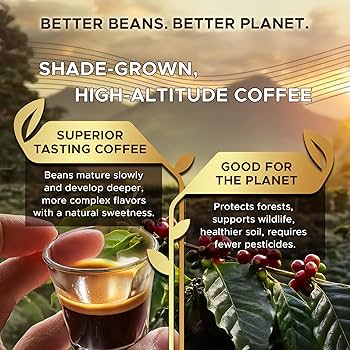 Amazon.com: Coffeeza Flavoured Variety Pack Aluminium Coffee