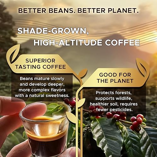 Miniatura 6 de Coffeeza Paquete variado de cápsulas de café 100% arábica con sabor a Nespresso, compatibles con máquinas Nespresso Original Line  Paquete de 6, 60