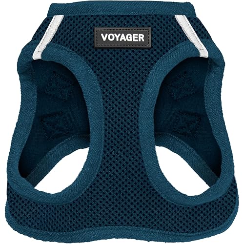 Best Pet Supplies Voyager Step-in Air Harness - All Weather Mesh, Reflective, No Pull Harness for Dogs, Cats - Secure with Hook & Loop Fastener, Buckle, Double D-Rings - Blue, S