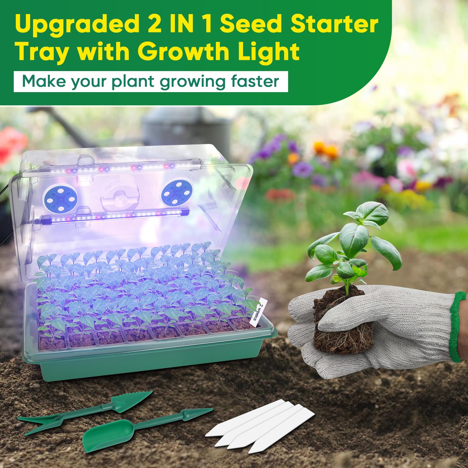Ulepszona taca startowa do sadzonek z oświetleniem do wzrostu, 80 komórek, taca na sadzonki, z zestawem Humidity Dome/Indoor Grow Kit do głęboko zakorzenionych sadzonek, timer 1-24 godzinny, białe i