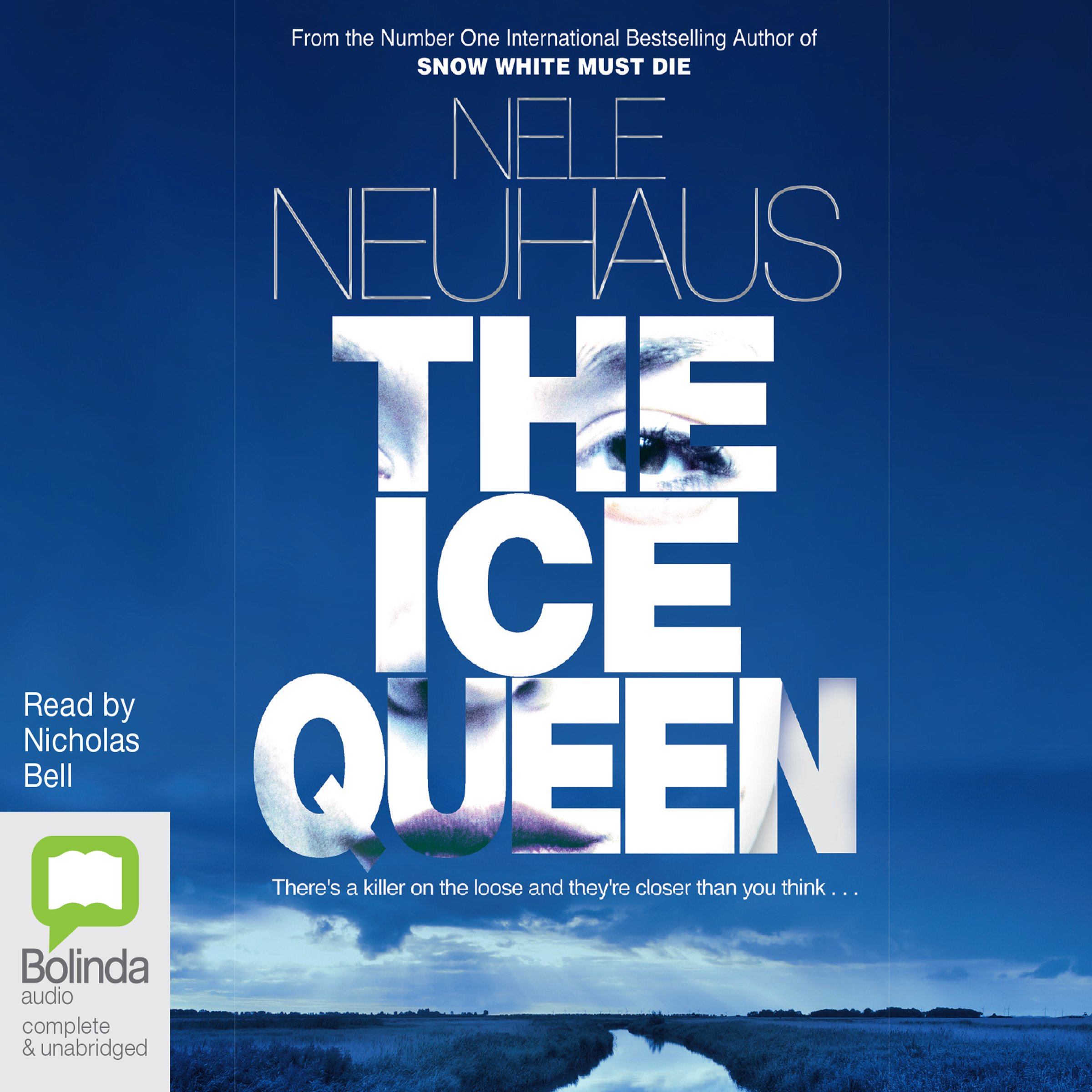 Cover art for The Ice Queen