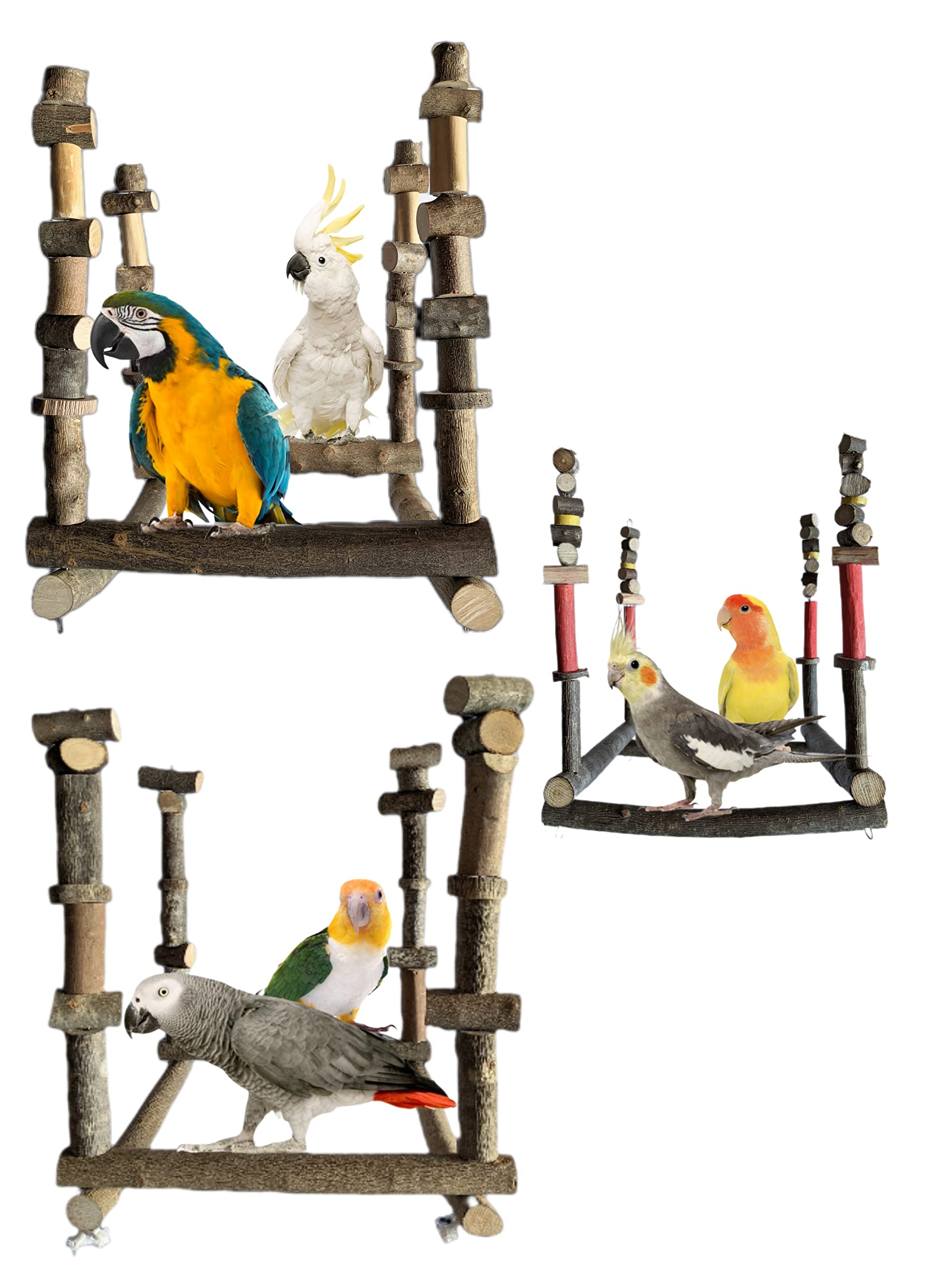 Columpio para loro yaco, guacamayo, juguete de jaula pájaros agaporni, percha balancín aviario cotorra, accesorio posadero cacatúa ninfa, CALIDAD PREMIUM. (S, Voladeras, Pequeño detalle color)