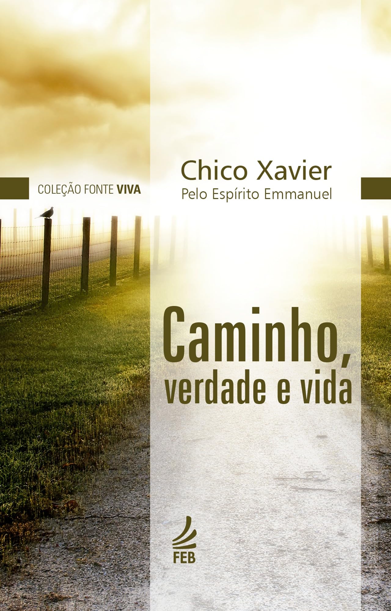 Caminho, verdade e vida (Coleção Fonte viva Livro 1) (Portuguese Edition)