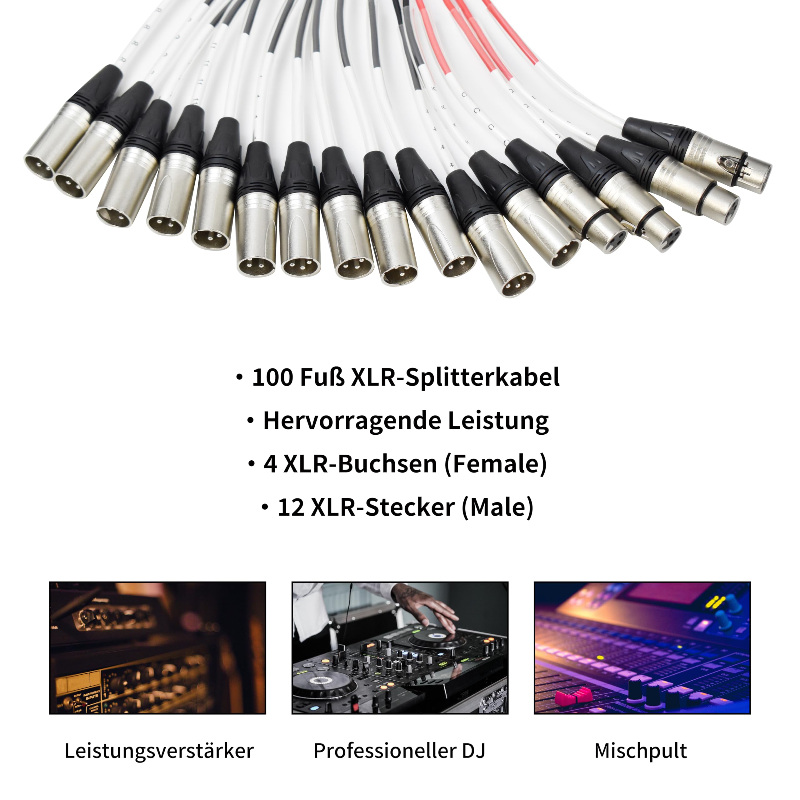 Flachbau-XLR-Sende-Leiterplatten-Snake-Kabel, kompakte XLR-Box-Snake für Live, Aufnahme, Bühne, Studio, 12 Kanäle 4 Rückkanäle 100 Fuß (30,48 m) lang