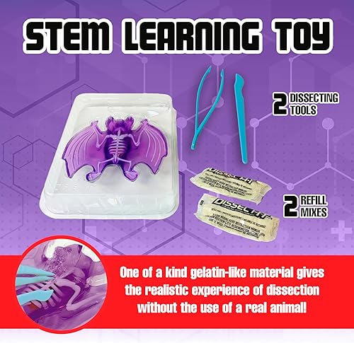 Miniatura 4 de Dissect-It Juguete de Disección de Laboratorio Sintético Simulado, Proyectos STEM para Niños, Ciencia Animal, Biología y Anatomía Kit de Aprendizaje