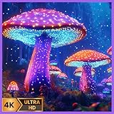 魔法のキノコの森 - テレビやタブレットのためのリラックスした自然音とフルートの音楽。