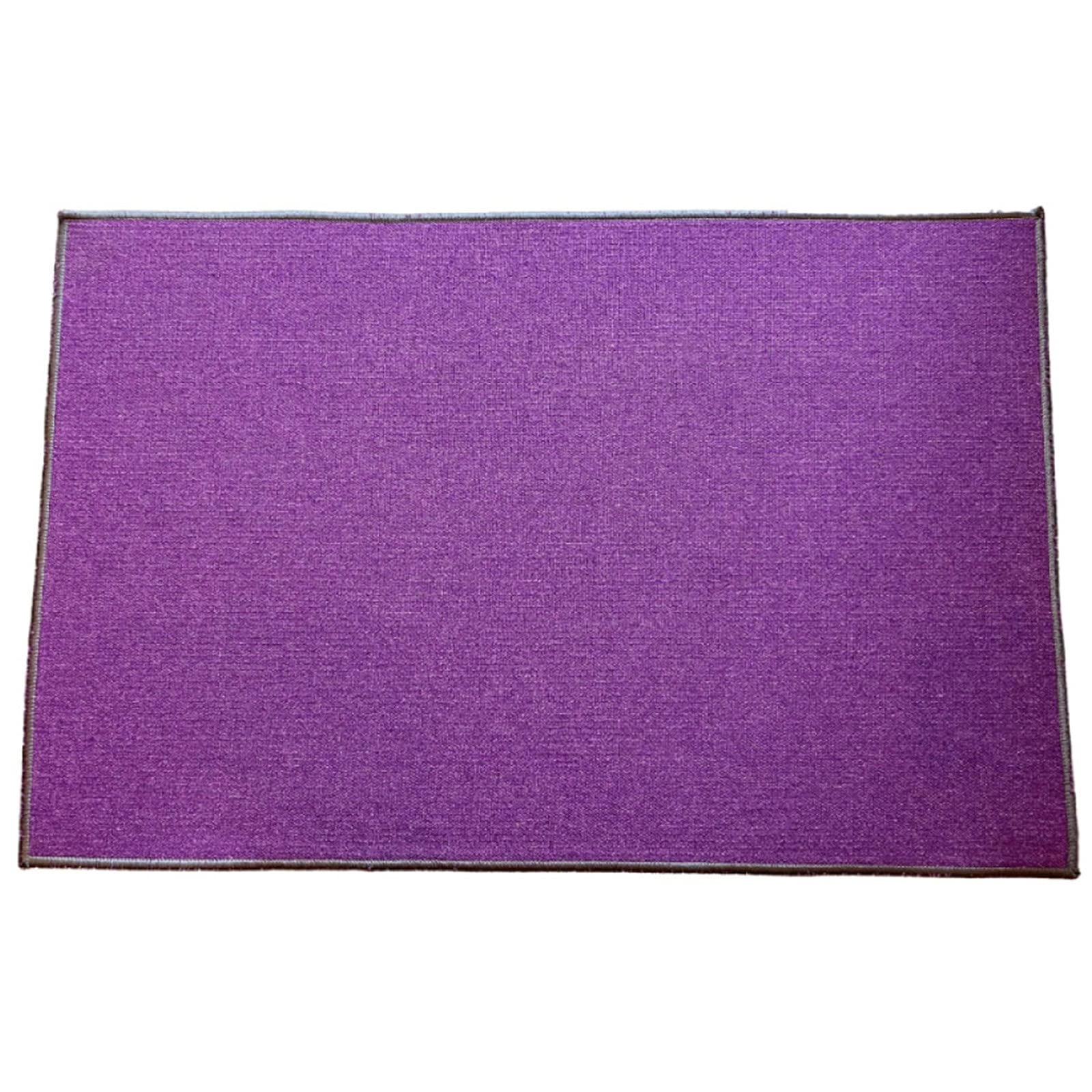 Paillasson extérieur et intérieur absorbant violet pour seuil de porte