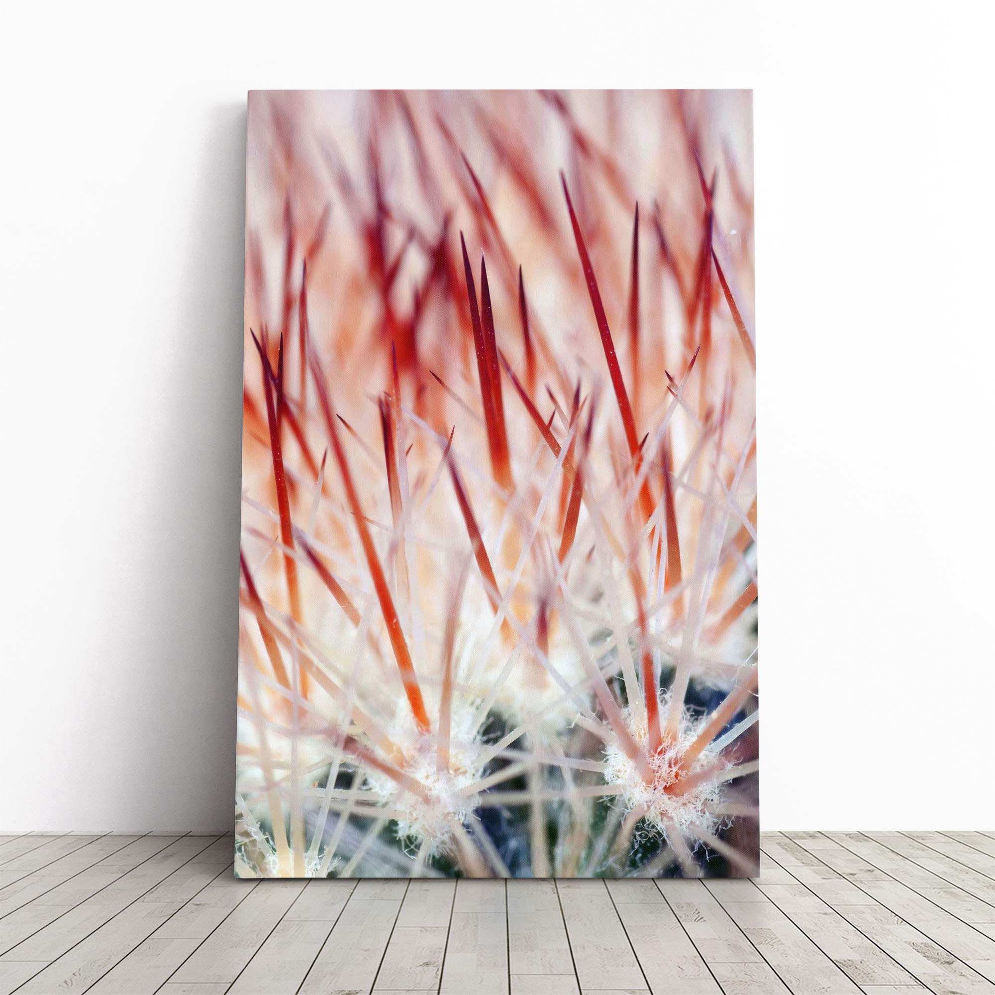 Cacti Cactus (2) Canvas Print | Gallery Wrapped 30mm Frame Wall Art | 24x16 inches | Ready to Hang | Modern Floral Picture | Living Room Bedroom Lounge Office
