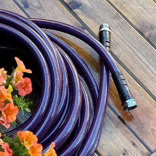 Miniatura 4 de Water Right, manguera de jardín serie 600., Conexiones de latón, Berenjena