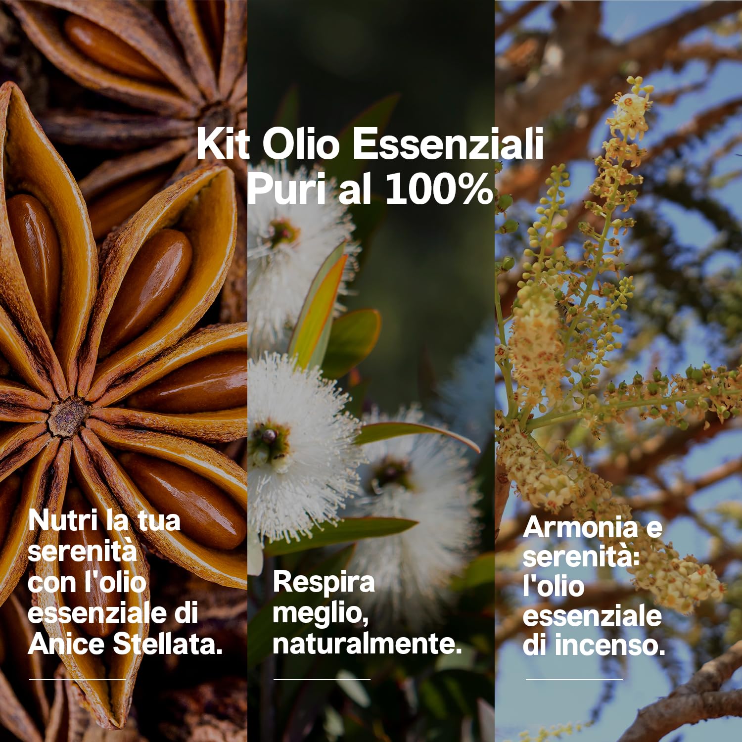 Set di Oli Essenziali Naturali per Aromaterapia | Fragranza Ambiente | Anice stellato | Cajeput | Incenso/Franchincese | Ginepro Bacche | Bergamotto | Eucalipto | Ideale Per Diffusore.
