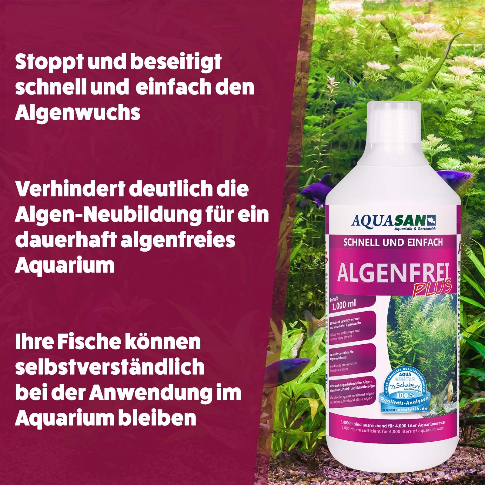 AQUASAN Aquarium Algenfrei Plus (Aquarium Algenvernichter, Algenentferner - Gegen nahezu alle Algen - Bartalgen, Pinselalgen, Schmieralgen), Inhalt:5 Liter