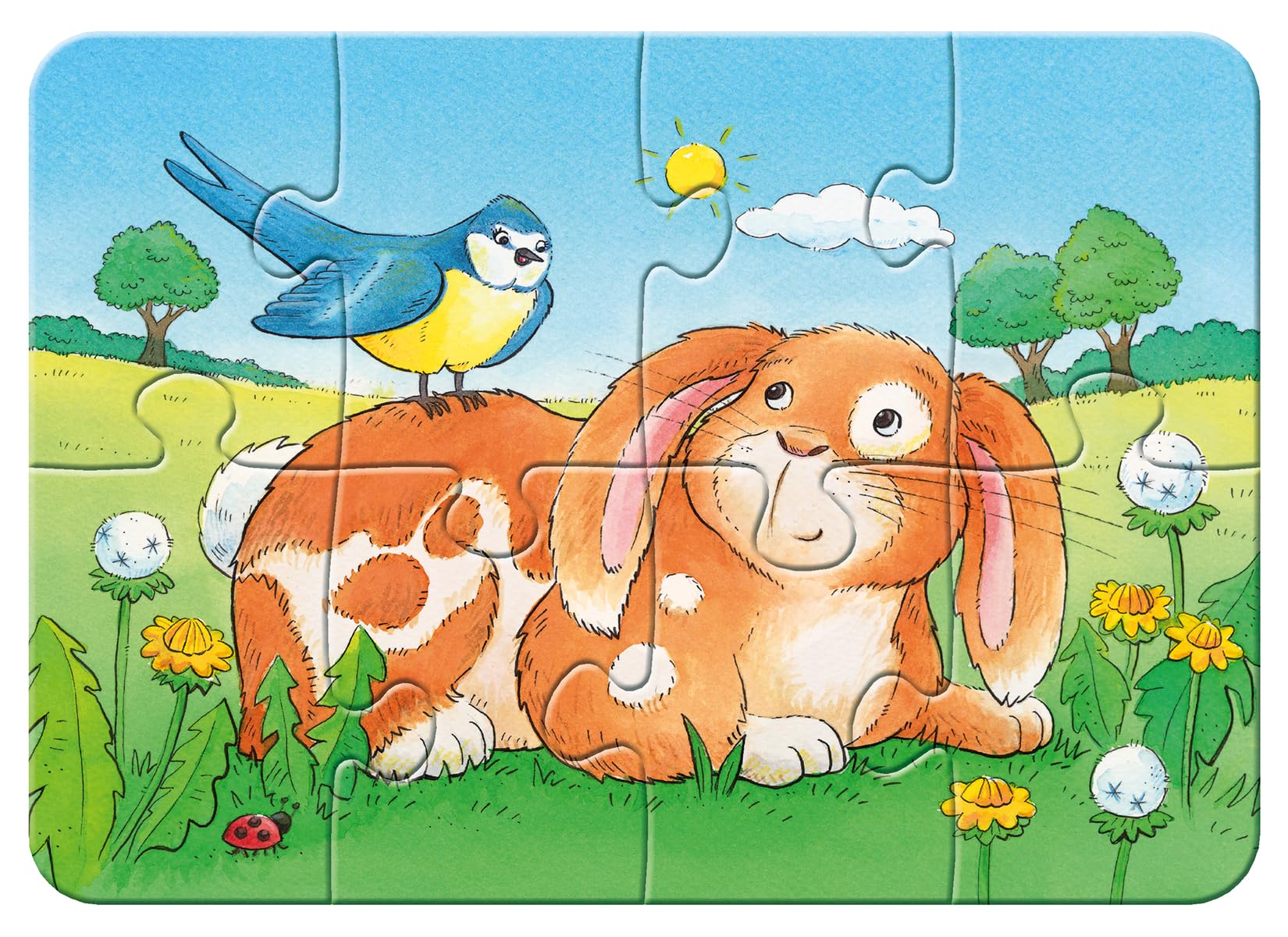 Niedliche Haustiere. My first Puzzle. 4 Motive
