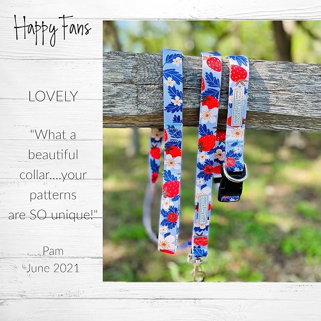 Foto 5 de 5 de Lucky Love Dog Collar de martingala, collares antideslizantes de primera calidad Fun Girl