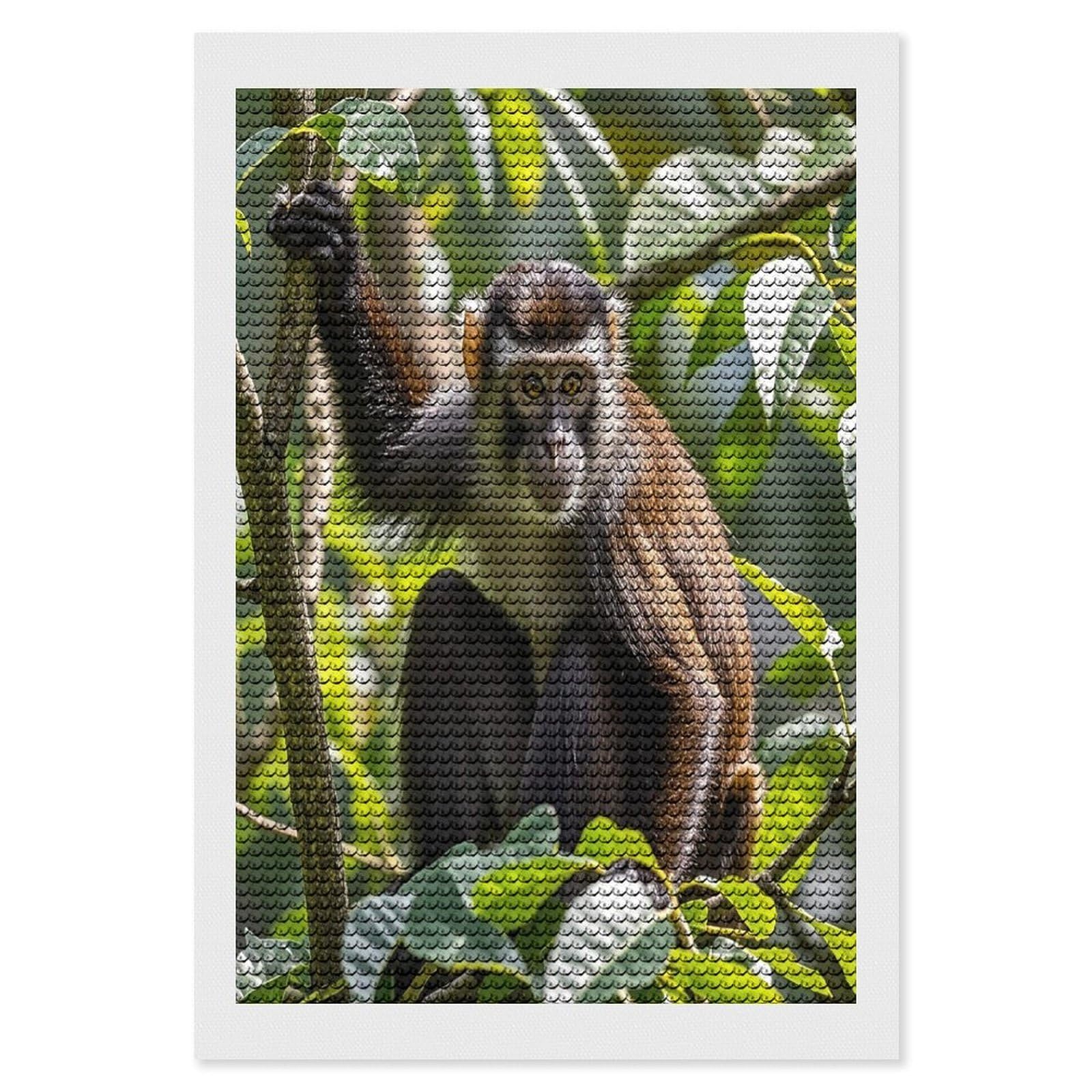 FekiLoot Monkey Diamond Painting Kits for Beginners DIY Diamond Art Kits for Adults Full Drill Round Diamond Dot Gem Art Painting Fun DIY Crafts for Home Kitchen Wall Decor Gift 8"x12"