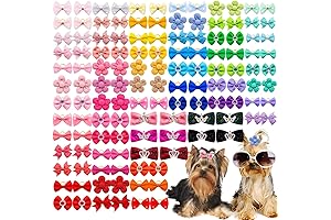 Adorable 100-Piece Dog Hair Bows