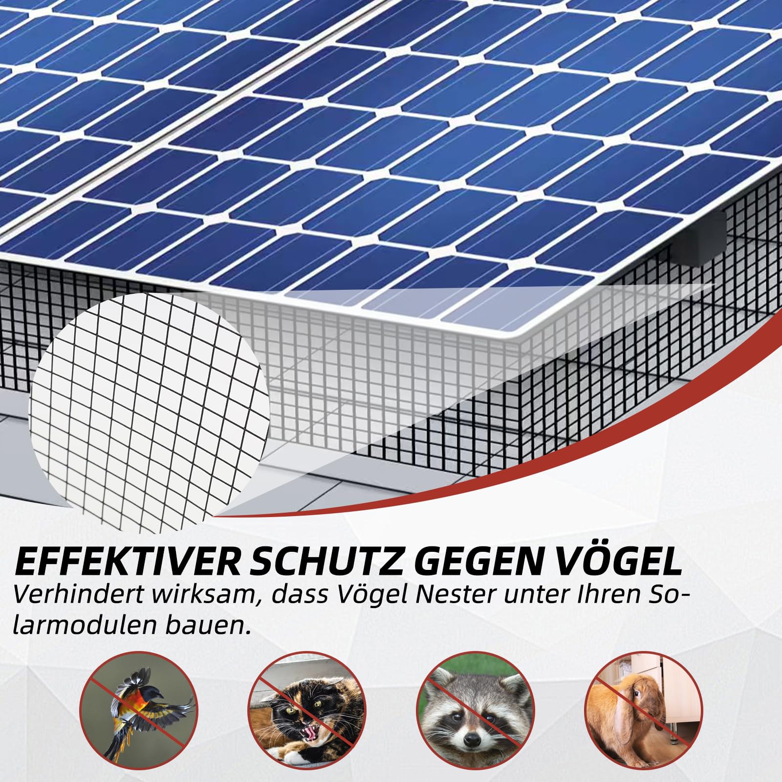 Siatka chroniąca przed ptakami do modułów solarnych, 30 m x 20 cm, ocynkowana rolka z siatki stalowej powlekanej PCW, szerokość oczek 1,27 cm, w zestawie 100 zapięć ze stali nierdzewnej, ochrona przed