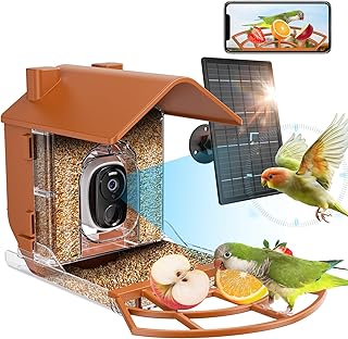 Bird Feeder with Camera, Smart Bird Feeder Camera with AI Identify Bird Species, Auto Capture Record Video & Instant App Notifications, Live Bird Watching Camera for Birds Lover, Solar Powered