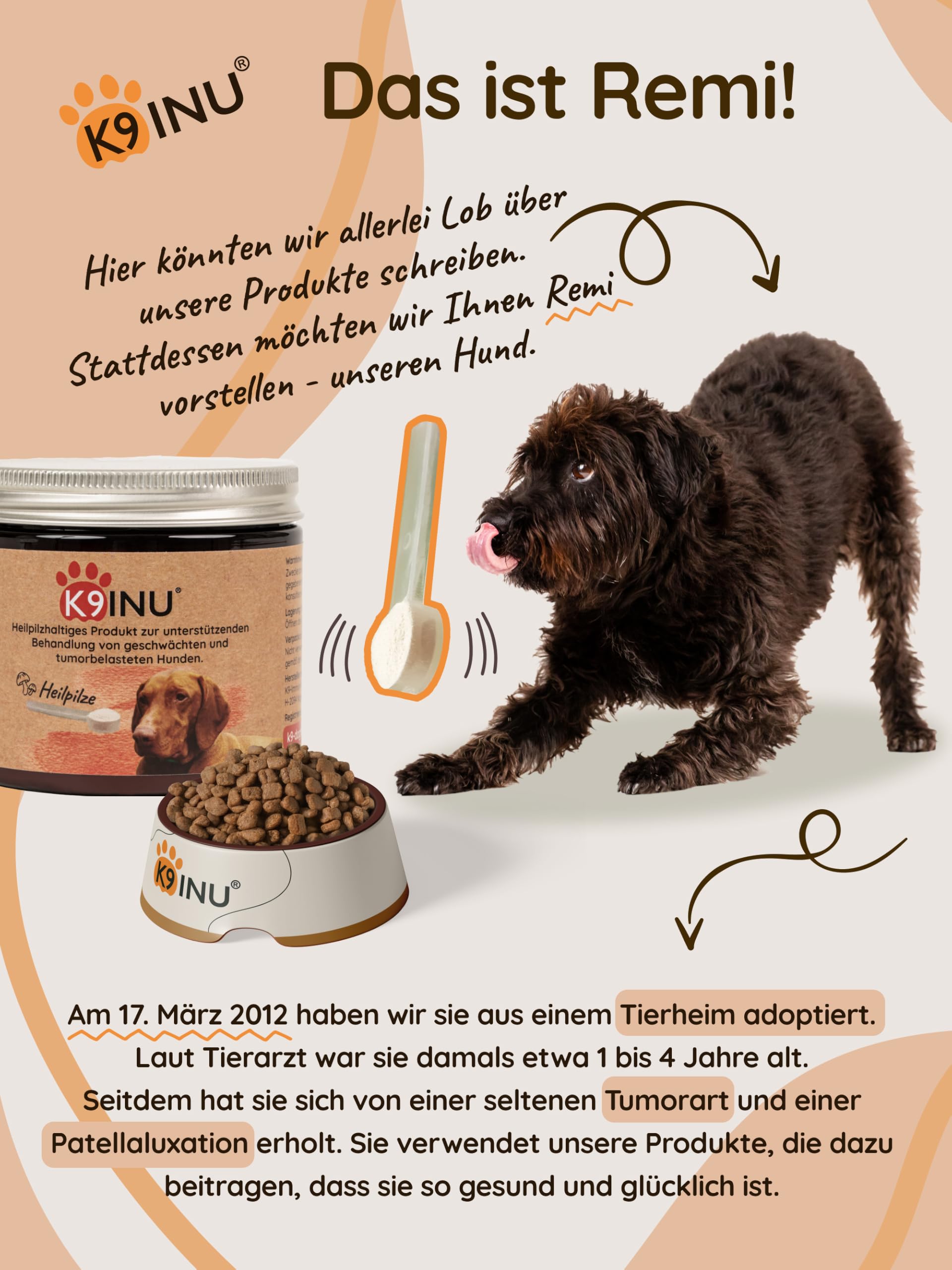 Immunsystem stärken für Hunde [Vitalpilze Komplex Konzentrat aus 6 Heilpilze] mit Cordyceps, Reishi, Shiitake Pilze | Beta Glucan reich | Hunde Vitamine | Bio, Natürlich & Hochwirksam - 54g