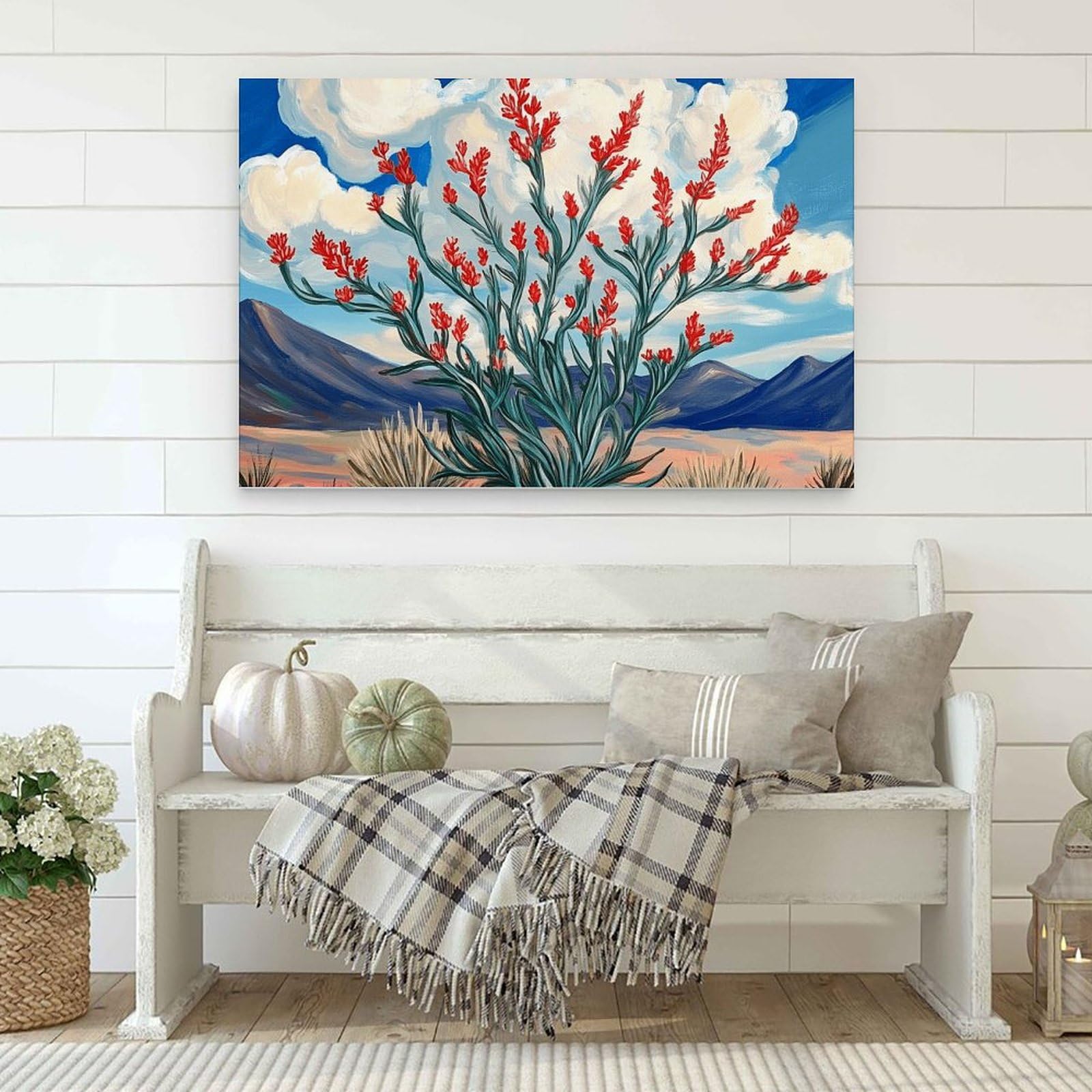 Amazon.com: Ocotillo Big Bend National Park Print West Texas