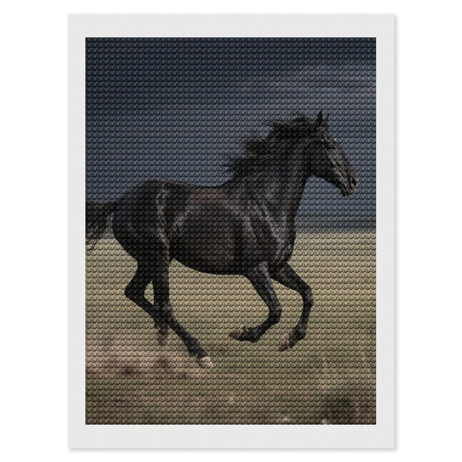 FodPand Horse 5D Diamond Painting Kits for Adults Beginners Full Drill Round Diamond Dots Pictures Gem Art Supplies for Home Wall Room Decoration DIY Craft Set Gift 12x16