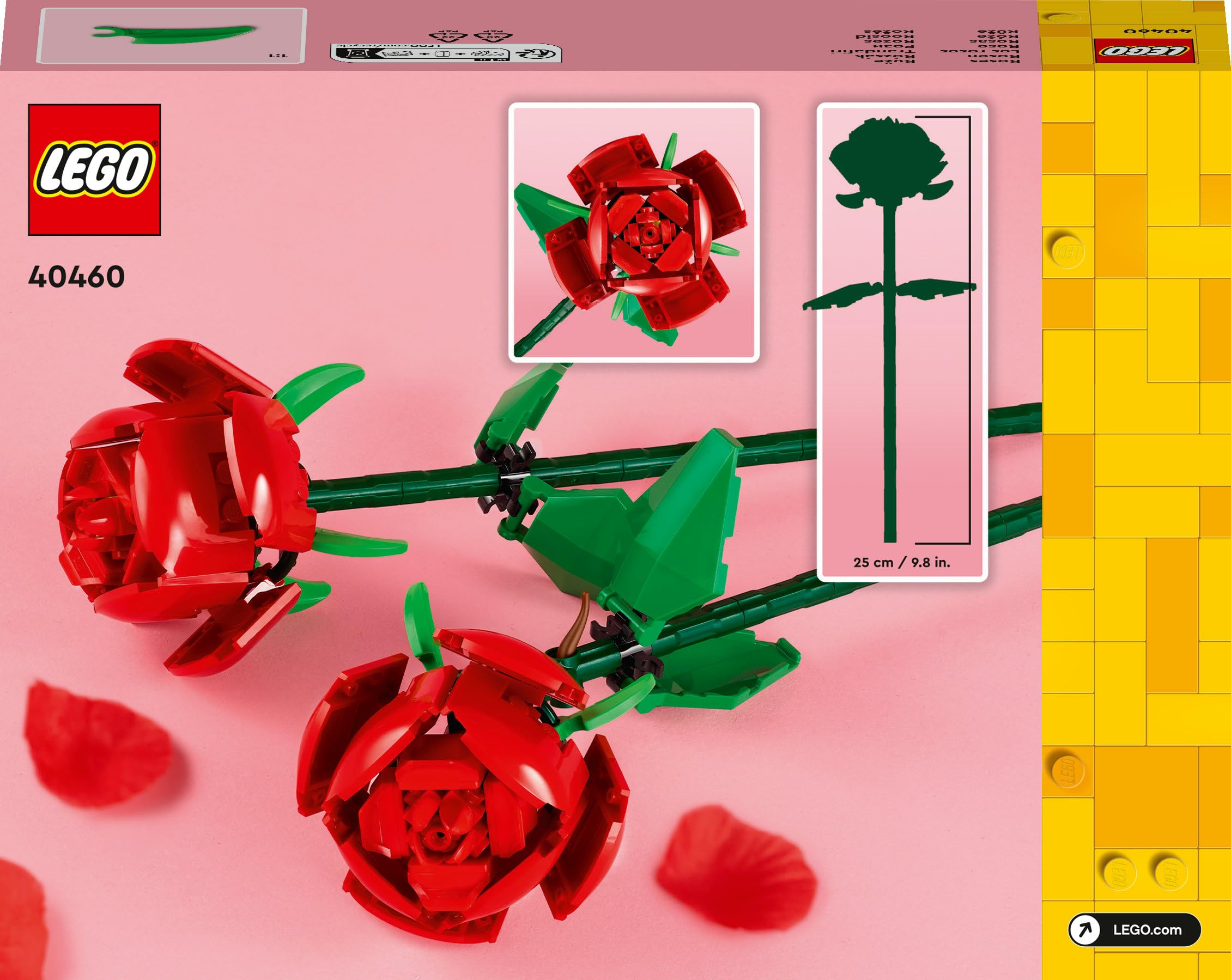Thumbnail 11