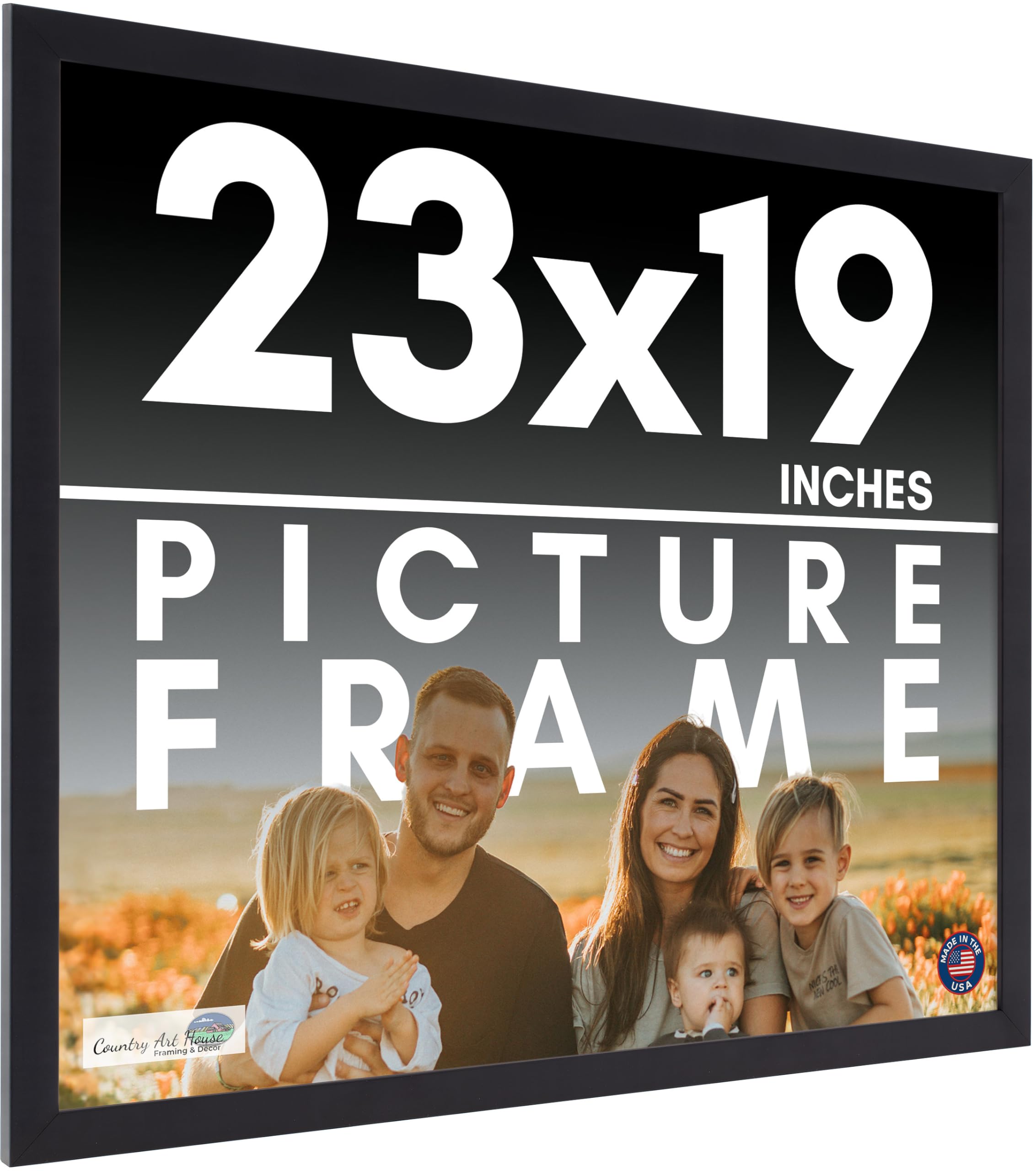 Amazon.com - 23x19 Frame Black Picture Frame - Complete Modern