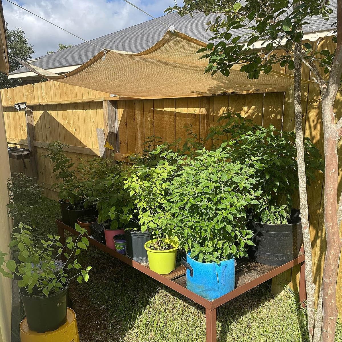 Malla de sombreo Resistente a los Rayos UV con Ojales para invernaderos, Jardines y Uso Exterior. Disponible en 2x2 m, 2x4 m, 3x5 m y 3x6 m Plantas, graneros y caset