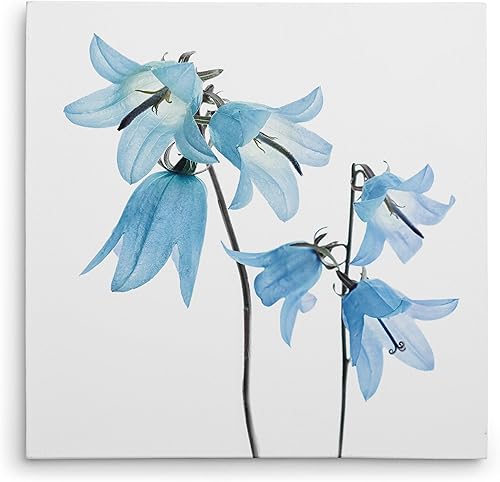 Miniatura 123 de Wexford Home Lienzo decorativo para pared, «Summer Solstice I», «Galería» Jardín de salvia II,Solsticio de verano I,Avant Jardín I,Avant Garden