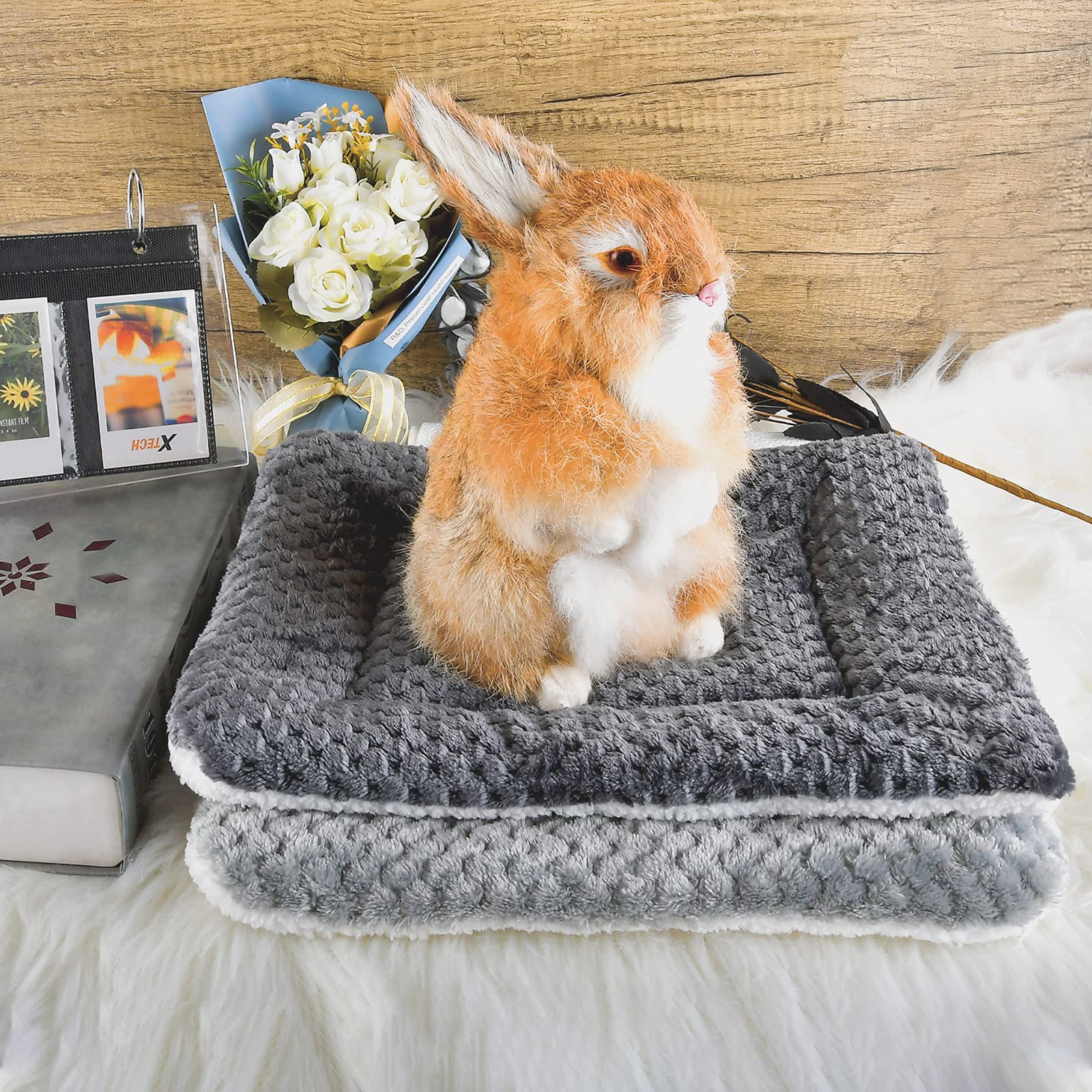 Haustierbettmatte 4er Set – 33x47 Cm, Wendbarer Korallensamt, Waschbar, Für Kleine Tiere Wie Hamster & Meerschweinchen