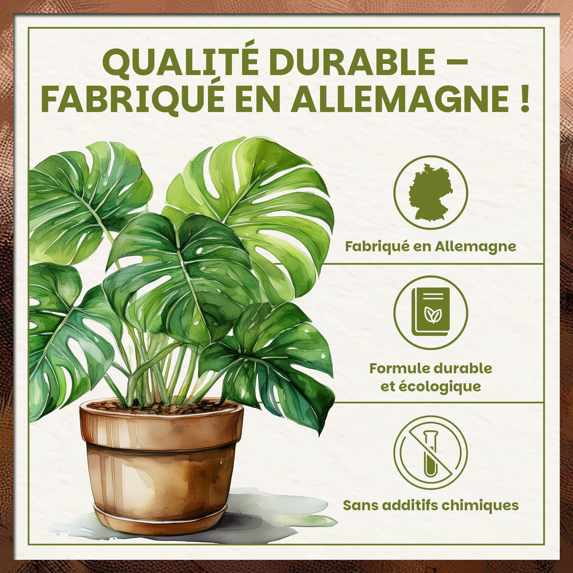 Green Home Terreau Aroid 36L – Substrat spécial Monstera, Philodendron & Plantes Tropicales – Terreau avec Perlite pour Un Drainage Optimal