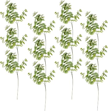 Ashland Green Eucalyptus Branch, 12 Pack