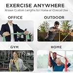 TheraBand Resistance Band Set, Professional Latex Elastic Bands for Upper & Lower Body & Core Exercise,Yellow & Red & Green