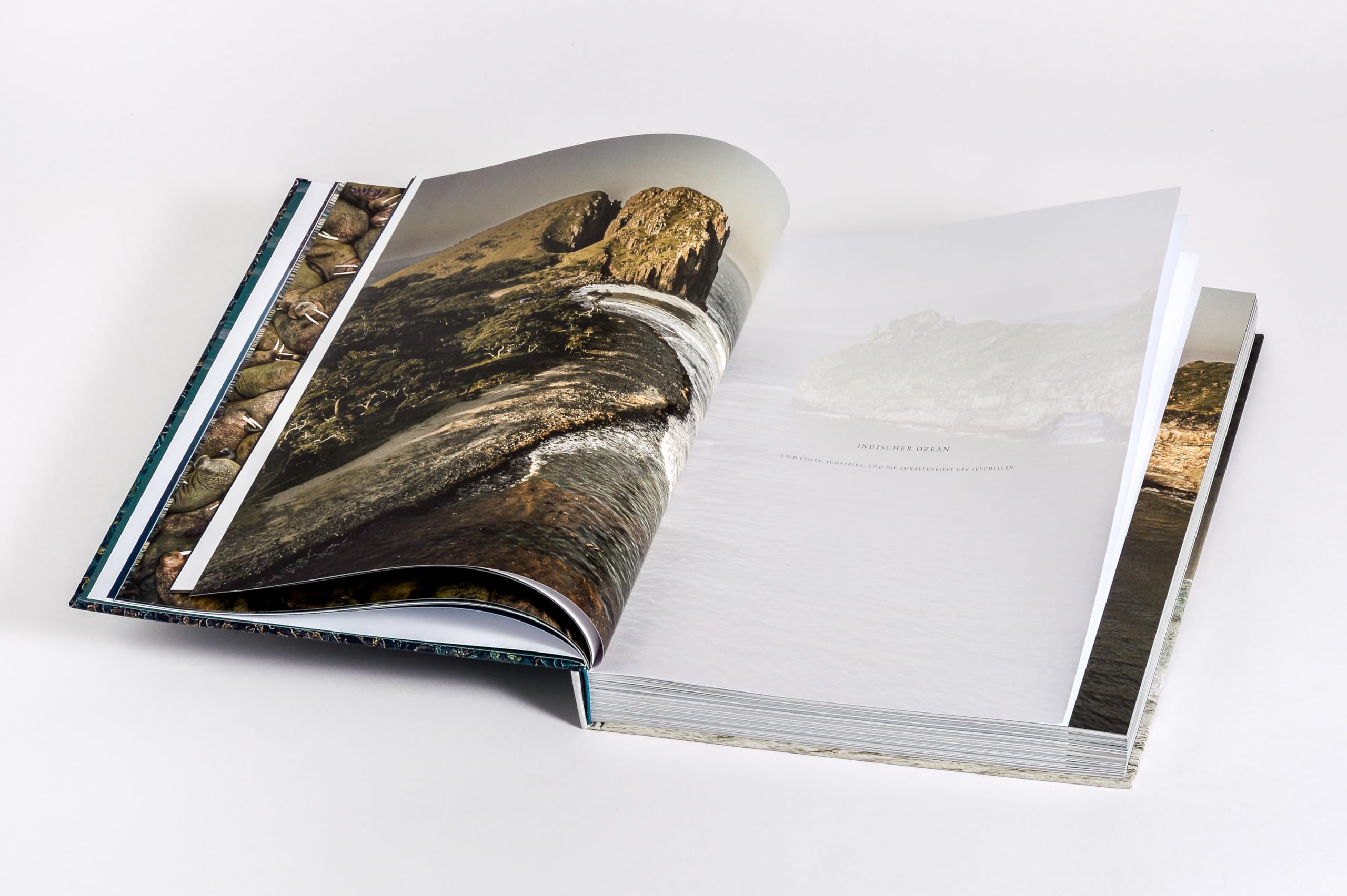 Wilder Ozean: Eine Reise in die ungezähmte Natur der Weltmeere. Opulenter Coffee-Table-Band mit über 200 faszinierenden Fotografien