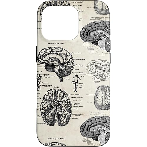 Gnosis Picture Archive iPhone 16 Pro Anatomy Brain Vintage Textbook Diagrams Neuroscience Graphic Case