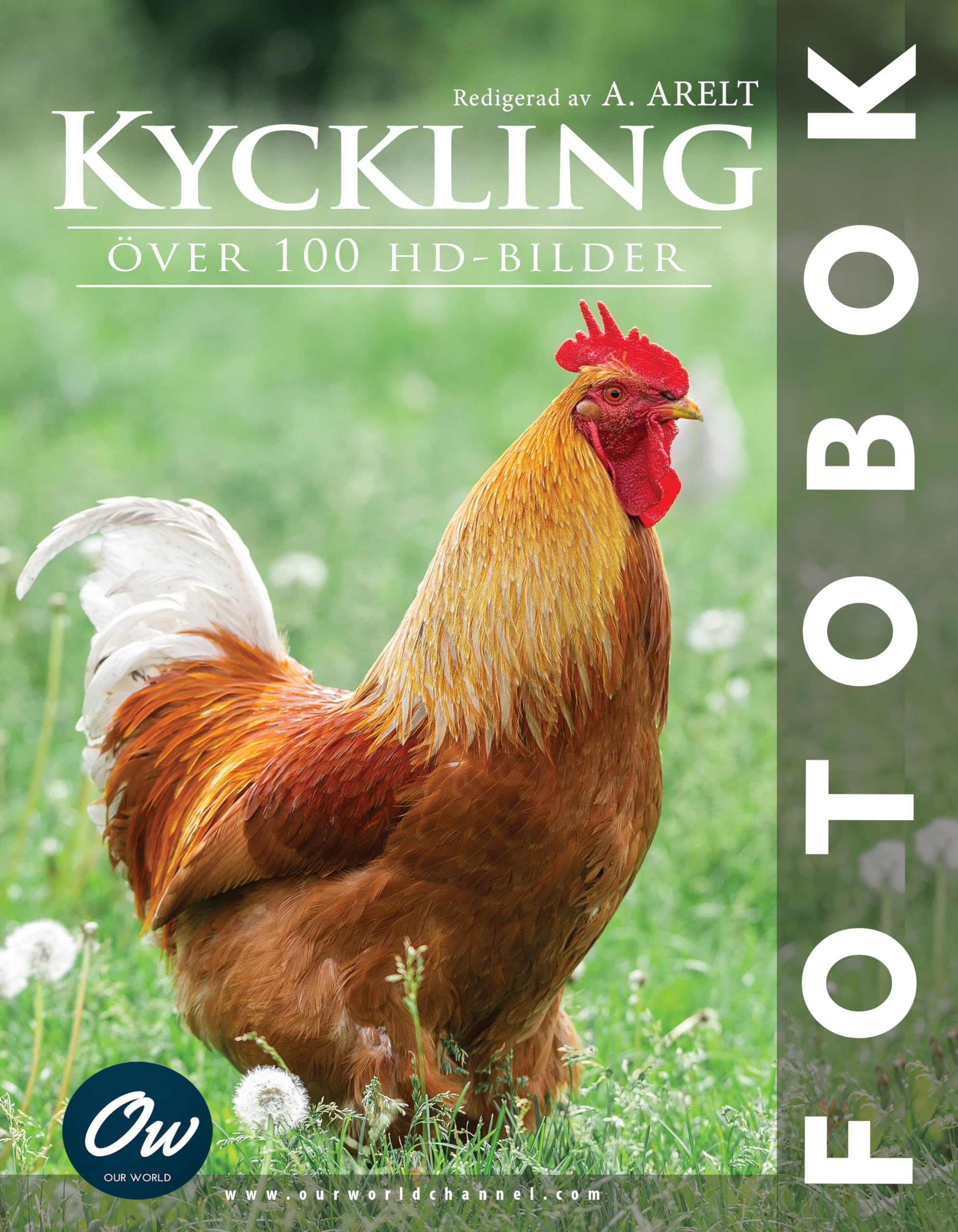 Kyckling fotobok identifier les races de poules avec ce livre suédois