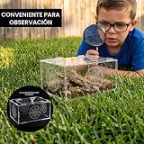 Ver la foto 8