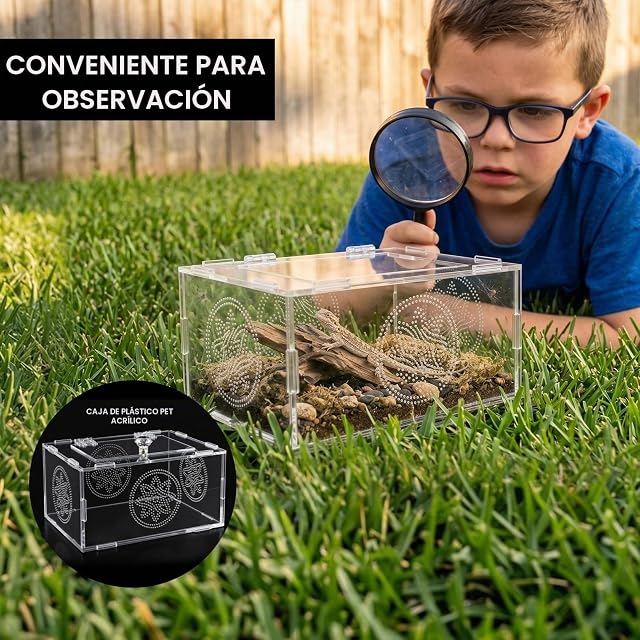 Foto 8 de 8 de Terrario Reptiles, Acrílico para Terrario, Terrario Araña Saltarina Transparente Multiuso para Arañas