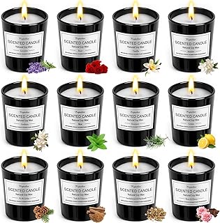 12 Pack Scented Candles Gifts Set for Women and Men, Candles for Home Sc...