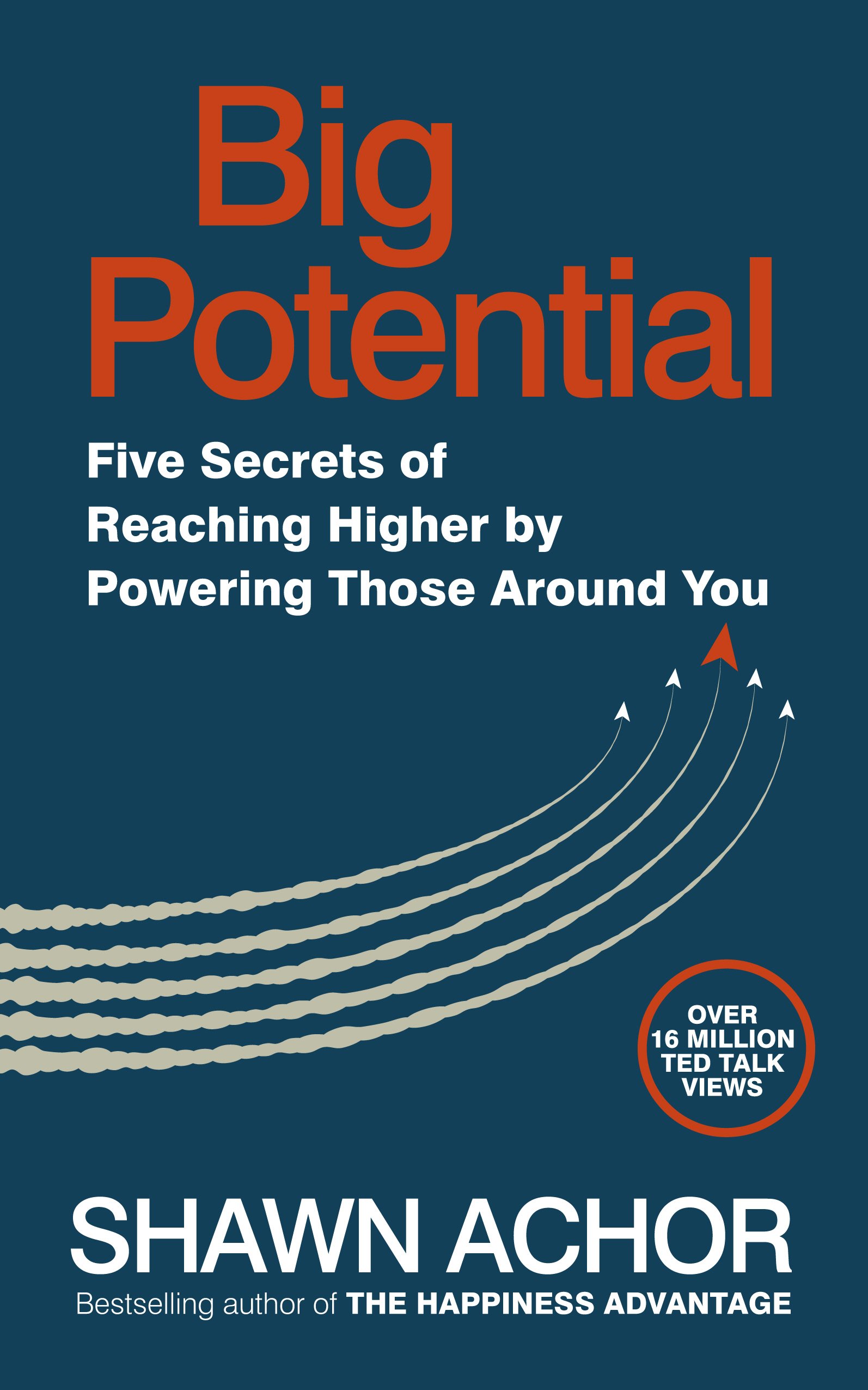 Virgin Books Big Potential: Five Secrets of Reaching Higher by Powering Those Around You