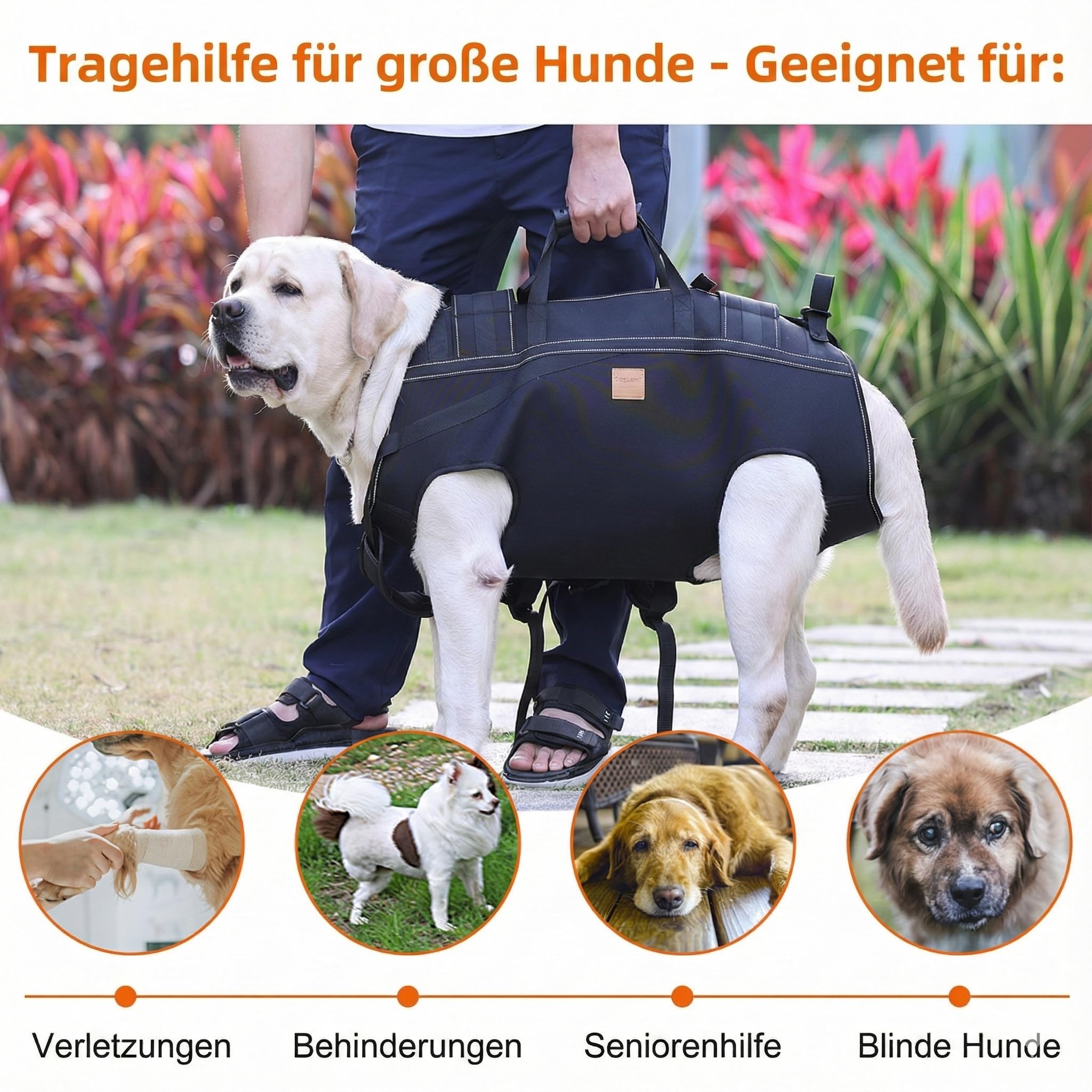 Hunderucksack für große Hunde, Tragehilfe Hund mit Griff, Ergonomisches Tragegeschirr Hund für Treppen, Auto, Gelenkverletzungen, Arthritis, Hundetragetasche für Rehabilitation & Outdoor (XL)