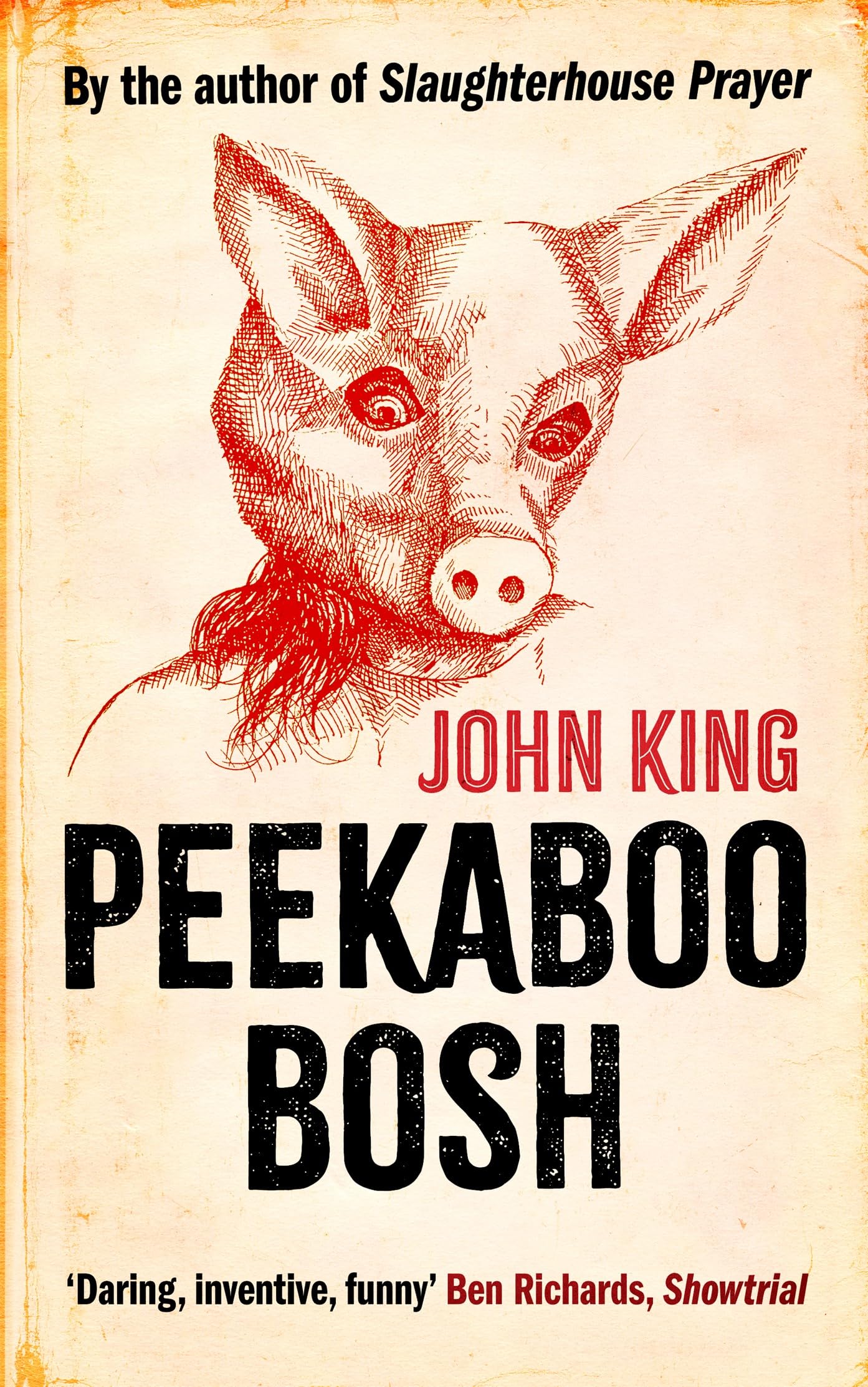 Peekaboo Bosh by John King - 9781739698331