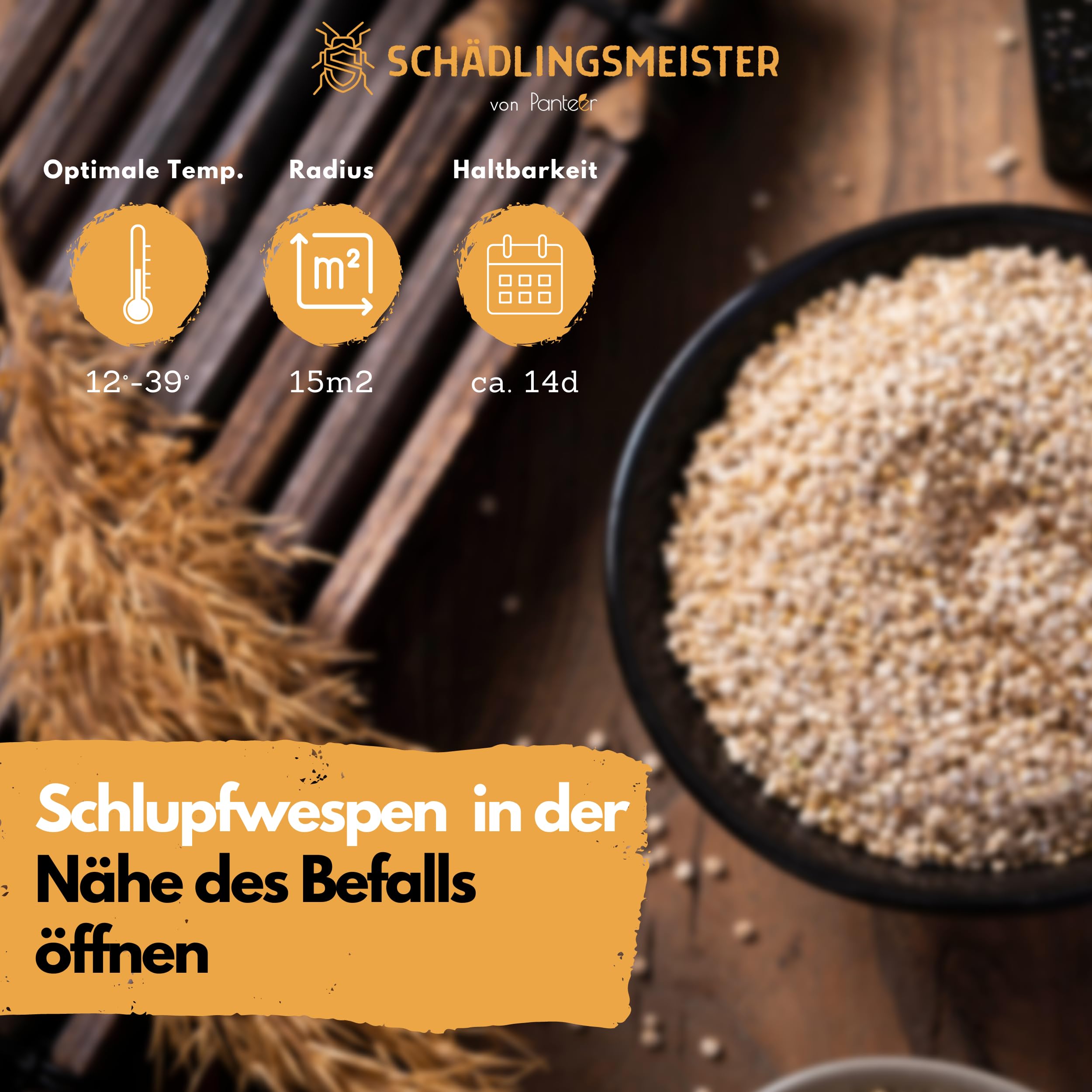 SCHÄDLINGSMEISTER Mehlmottenschlupfwespen gegen Mottenlarven - 30 Nützlinge - Motten bekämpfen - Schlupfwespen - Habrobracon hebetor - Made IN Germany (6 Einheiten)