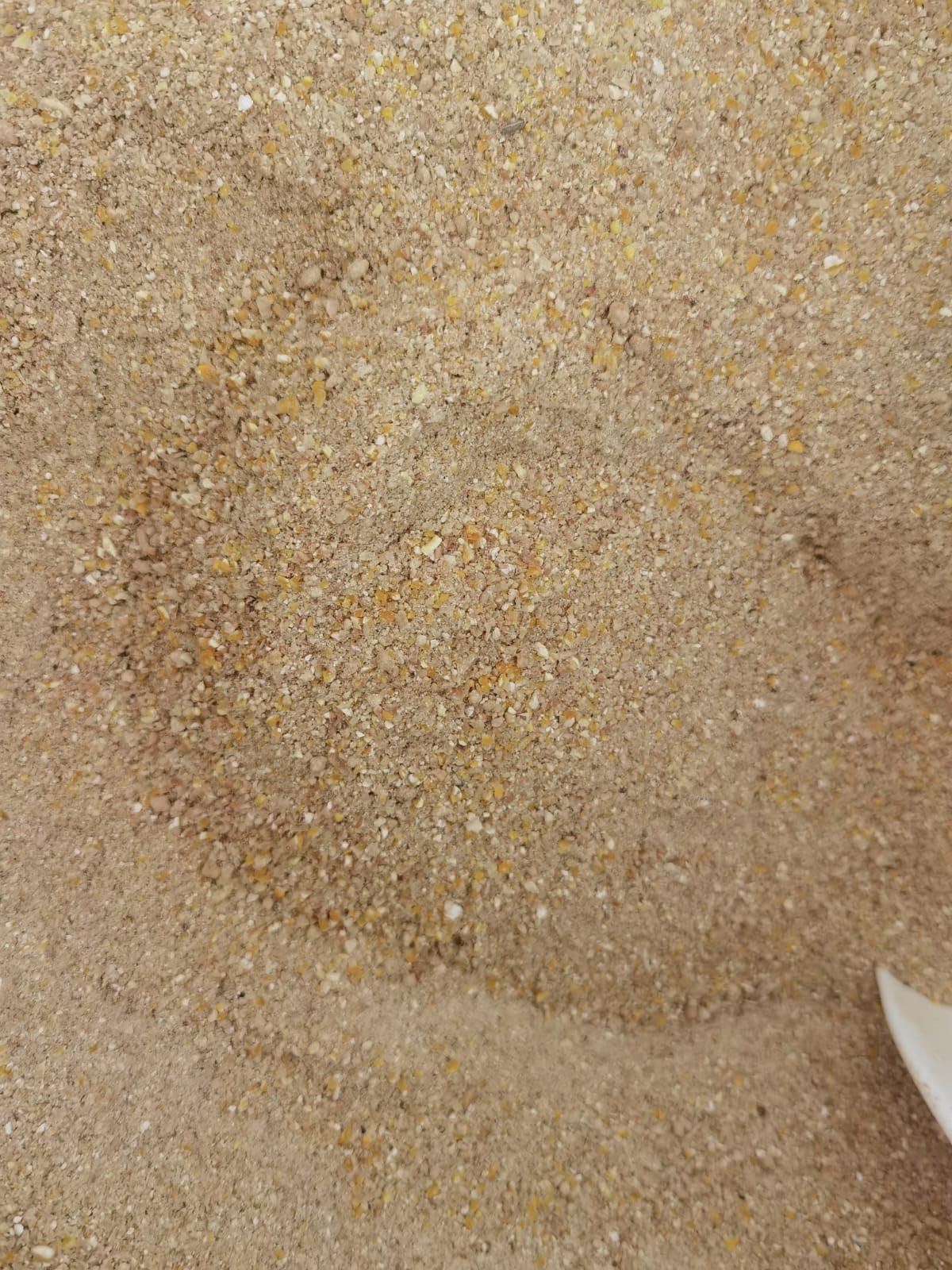 20 kg mangime per pulcini da 0-90 giorni
