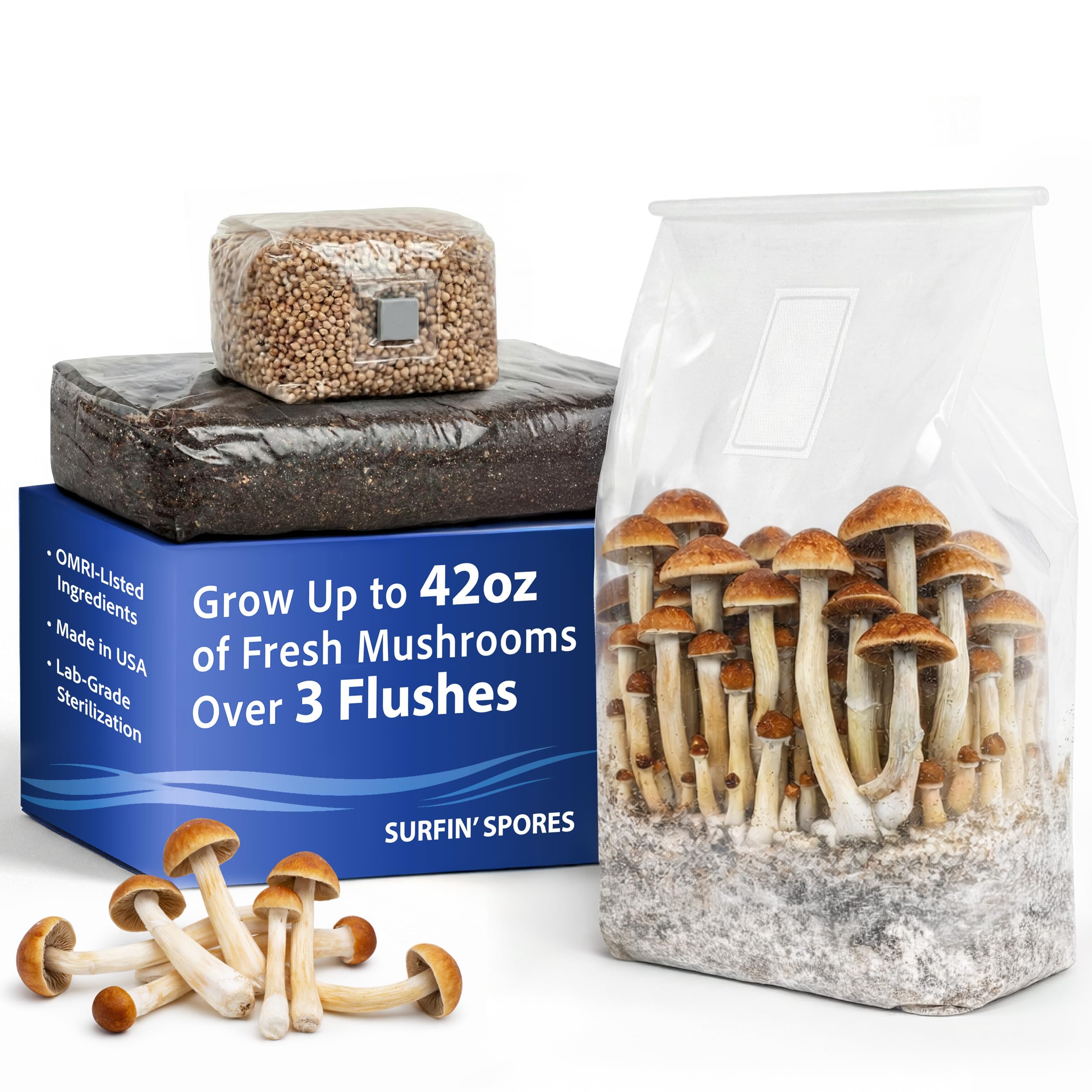 Surfin' Spores 4 LB All-in-One Mushroom Grow Kit