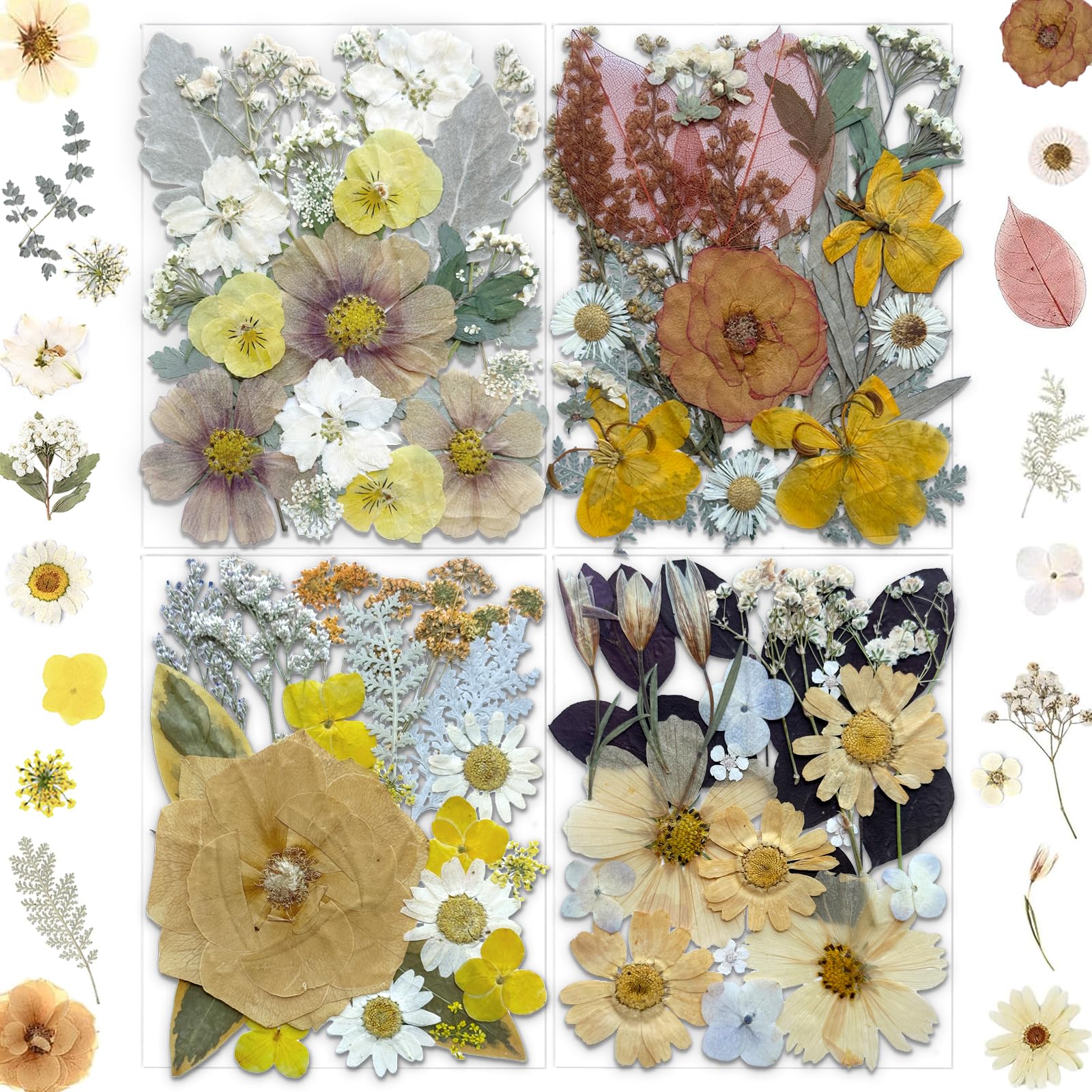 MIKIYA 90 getrocknete gepresste Blumen für Harzformen, Vintage-Weiß, echte natürliche trockene Blumen für DIY-Kunsthandwerk, Epoxid-Schmuck, Kerzen, Seifenherstellung, Nageldekoration, Handyhülle, 90