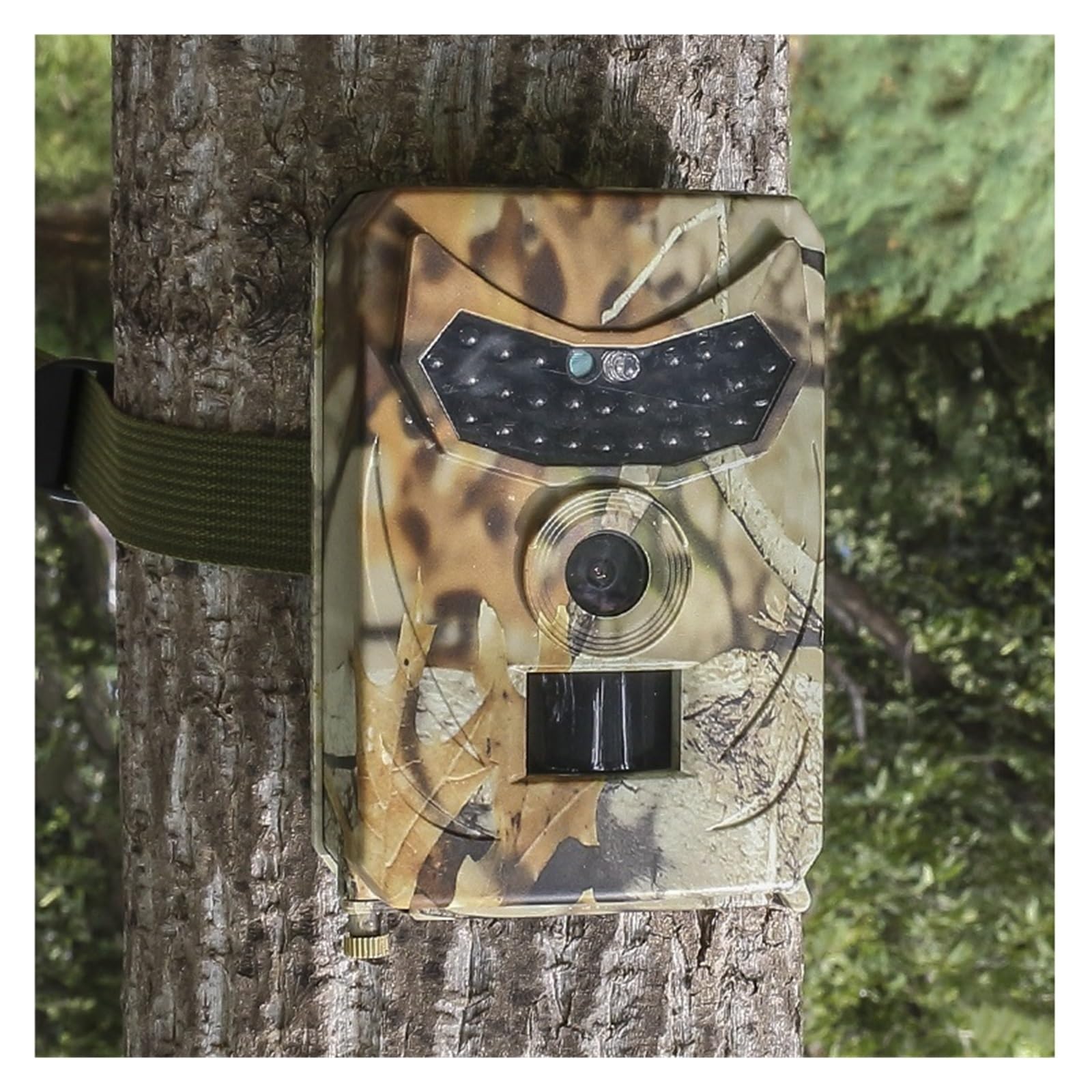 Cámara Vida Silvestre Cámara De Caza Al Aire Libre, Detector Animales Salvajes 12MP, Rastreo HD, Monitoreo Impermeable, Detección Calor Infrarroja, Visión Nocturna Confiable Preciso