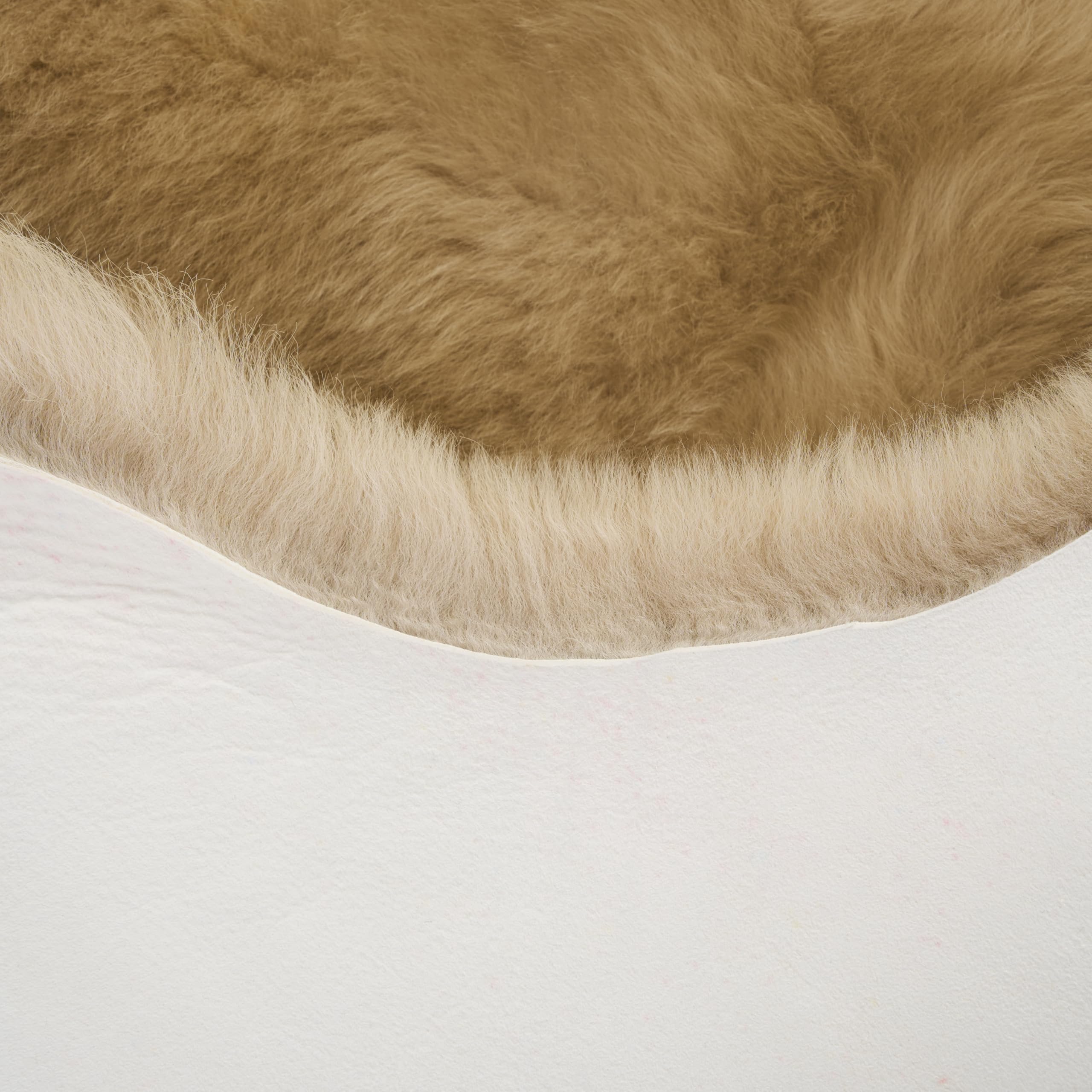 Peau de mouton australian véritable beige 100 x 60 cm [4-6 cm laine] fourrure pour chaise sans odeur en peau d'agneau véritable pour canapé, peau de mouton